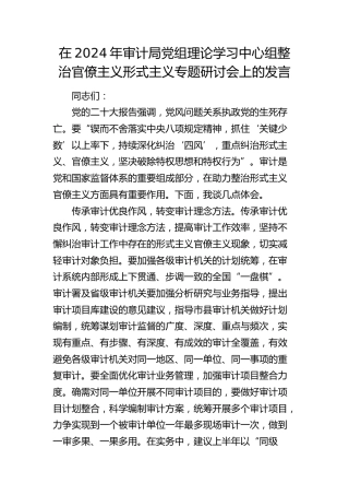 审计局中心组整治官僚主义形式主义专题研讨会上的发言