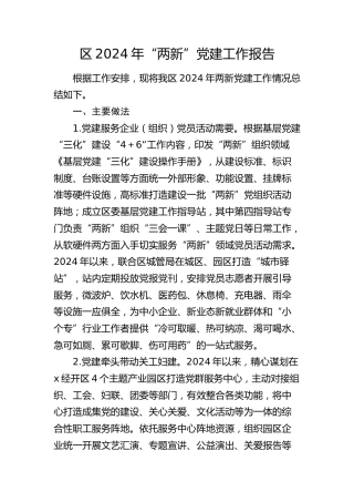 县区2024年“两新”党建工作总结报告