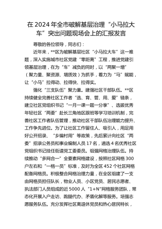 在全市破解基层治理“小马拉大车”突出问题现场会上的汇报发言