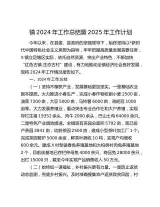 乡镇2024年工作总结（2100字）
