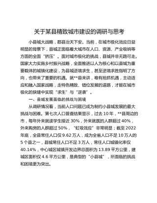 某县精致城市建设的调研与思考（调研报告参考）