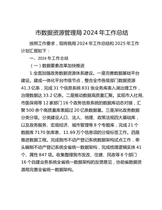 市数据资源管理局2024年工作总结