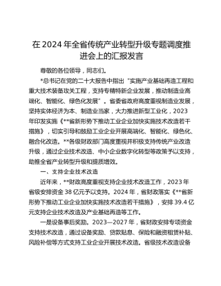 全省传统产业转型升级专题调度推进会上的汇报发言