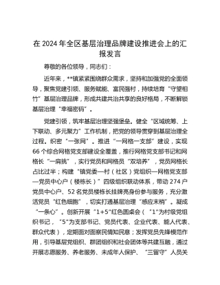 在全区基层治理品牌建设推进会上的汇报发言