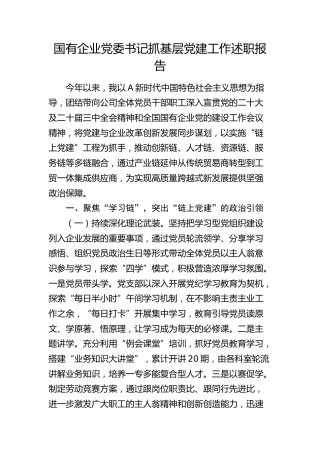 国企公司2024年书记抓党建述职报告3800字