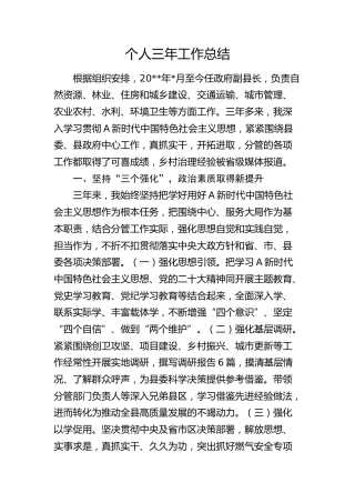 副县长个人三年工作总结2400字