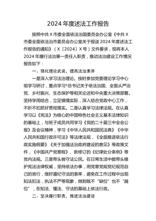 2024年度述法工作报告2300字
