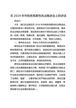 在市税务局柔性执法推进会上的讲话