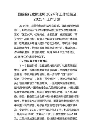 县综合行政执法局2024年工作总结
