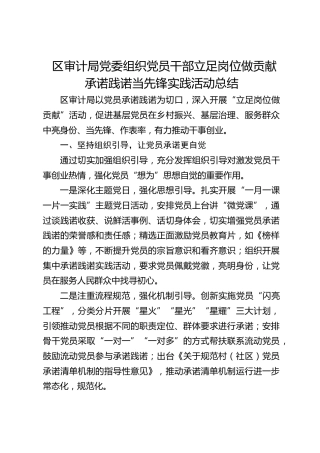 区审计局立足岗位做贡献承诺践诺当先锋实践活动总结