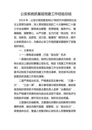 公安系统抓党建工作经验总结