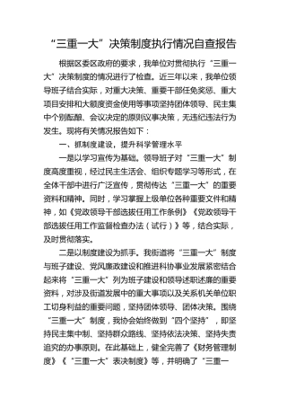 “三重一大”决策制度执行情况自查报告