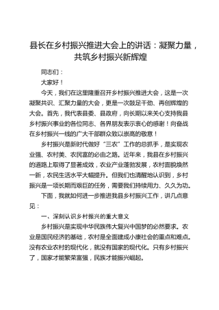 县长在乡村振兴推进大会上的讲话