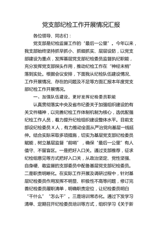 2024年党支部纪检工作开展情况总结汇报4100字