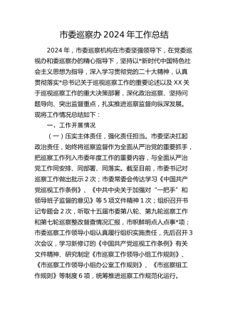 巡察办2024年工作总结