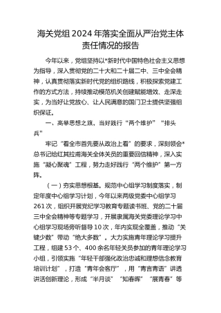落实全面从严治党主体责任情况总结报告（海关3100字）