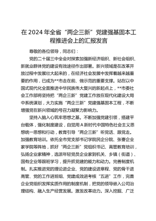 在全省“两企三新”党建强基固本工程推进会上的汇报发言