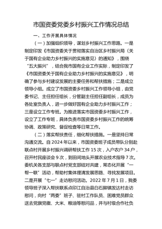 市国资委乡村振兴工作情况总结
