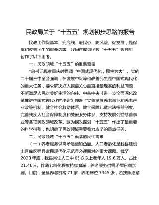 民政系统 “十五五”规划初步思路报告