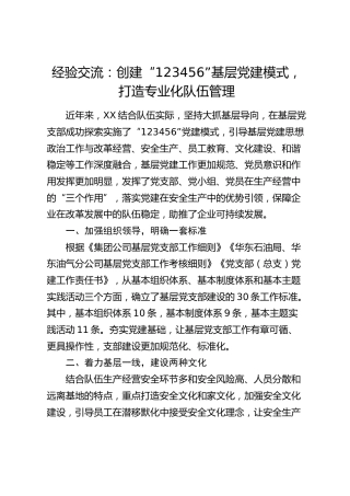 经验交流：创建“123456”基层党建模式，打造专业化队伍管理（发言）