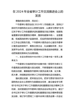 在全省审计工作交流推进会上的发言