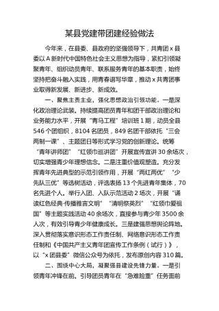 县党建带团建经验做法