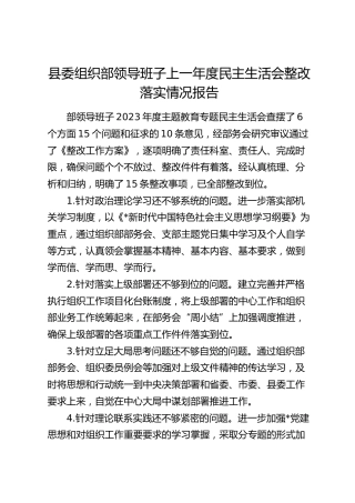 上年度民主生活会整改落实情况报告（15个问题清单整改措施）