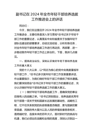 副书记在全市年轻干部培养选拔工作推进会上的讲话