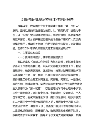 2024年书记抓党建述职报告4400字