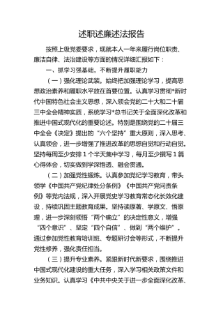 2024年度述职述廉述法报告3100字