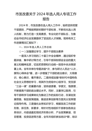 市发改委2024年选人用人专项工作总结报告