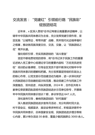 交流发言：“党建红”引领前行路 “  民族彩”绽放团结花