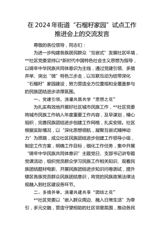 在街道“石榴籽家园”试点工作推进会上的交流发言