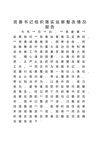 党委书记组织落实巡察整改情况报告2900字11.28