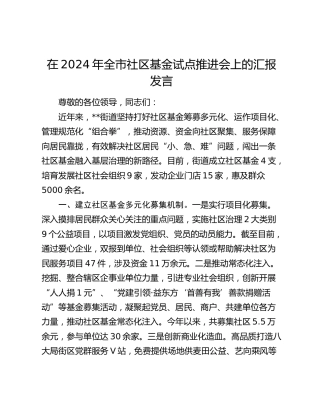 在全市社区基金试点推进会上的汇报发言