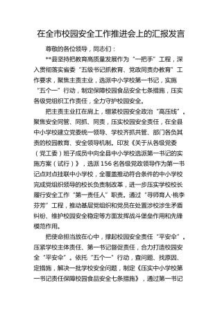 在全市校园安全工作推进会上的汇报发言
