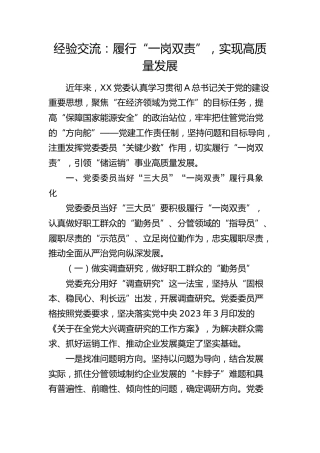 经验交流：履行“一岗双责”，实现高质量发展（发言）