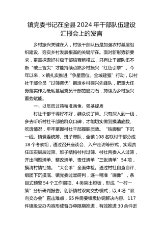 乡镇党委书记在全县2024年干部队伍建设汇报会上的发言