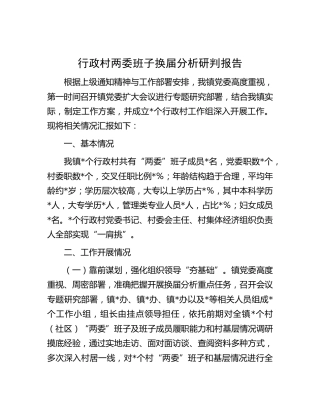 乡镇行政村两委班子换届分析研判报告