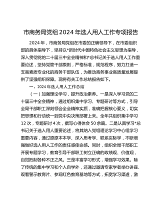 市商务局选人用人工作总结报告4600字