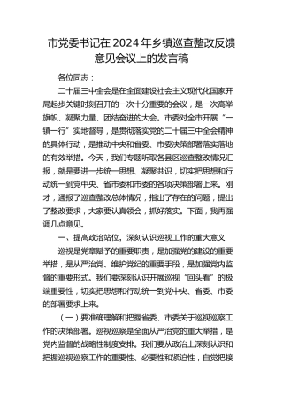 市党委书记在乡镇巡查整改反馈意见会议上的发言稿
