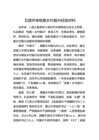 县区乡村振兴经验材料