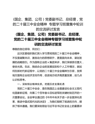 (国企、集团、公司）党委副书记、总经理，党的二十届三中全会精神  专题学习班暨集中轮训的交流研讨发言