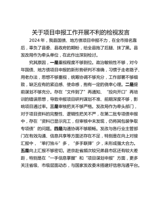关于项目申报工作开展不利的检视发言