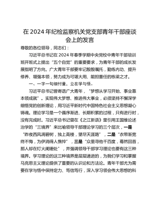 在2024年纪检监察机关党支部青年干部座谈会上的发言