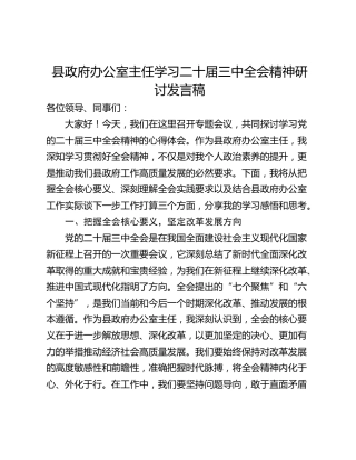 县政府办公室主任学习二十届三中全会精神研讨发言稿_1