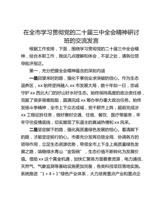 在全市学习贯彻党的二十届三中全会精神研讨班的交流发言