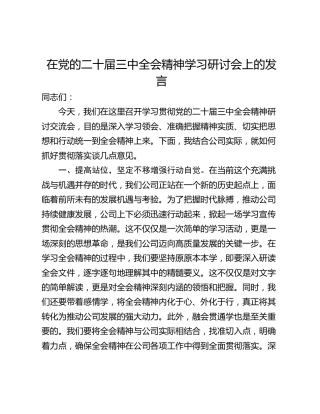 在党的二十届三中全会精神学习研讨会上的发言_1