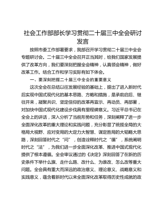 社会工作部部长学习贯彻二十届三中全会研讨发言