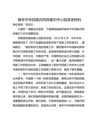 铸牢中华民族共同体意识中心组发言材料